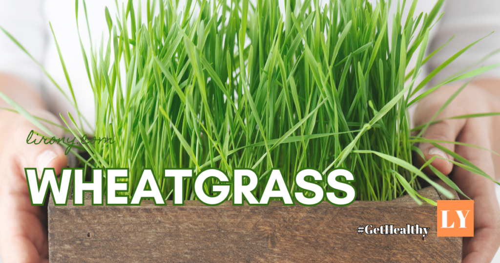 Wheatgrass